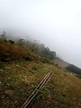 Snapshot of him220 chatting on February 2026 01:02:02 AM him220 online show from February 2026 01:02:02 AM