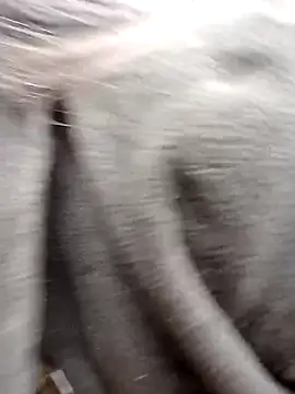 Snapshot of him220 chatting on February 2026 01:36:02 AM him220 online show from February 2026 01:36:02 AM