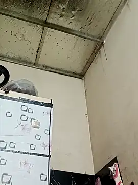 Sana-vn online show from March 2026 12:23:02 AM