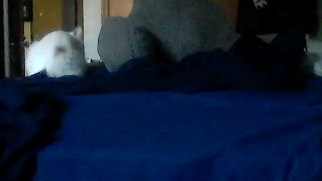 Silencio26 online show from July 2026 03:03:02 PM