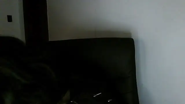 Snapshot of Aoidandelion chatting on February 2026 12:29:02 AM Aoidandelion online show from February 2026 12:29:02 AM