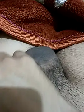  chota bunny  online show from February 2026 09:40:01 AM