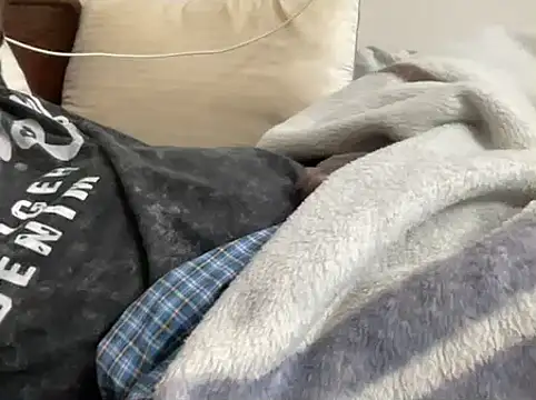 Snapshot of mdlaif1111 chatting on February 2026 01:43:01 AM mdlaif1111 online show from February 2026 01:43:01 AM