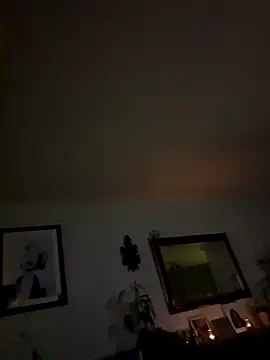 THC81NL online show from November 2025 11:25:02 PM