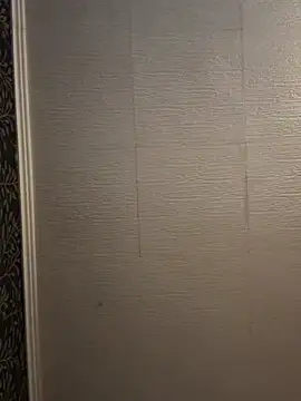 Snapshot of Evelin199 chatting on February 2026 07:56:01 PM Evelin199 online show from February 2026 07:56:01 PM