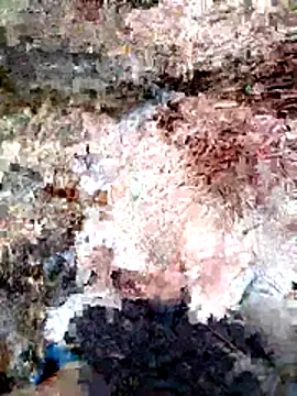 Snapshot of ParejaSutra69 chatting on January 2026 10:56:02 PM ParejaSutra69 online show from January 2026 10:56:02 PM