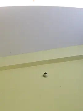 trinasa online show from April 2026 07:47:02 PM