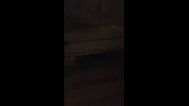 dongoralesko77 online show from April 2026 03:00:02 AM