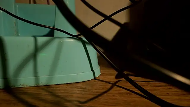 Dylann Carter online show from March 2026 11:21:02 PM