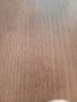 Snapshot of Kmali5465 chatting on February 2026 05:07:02 PM Kmali5465 online show from February 2026 05:07:02 PM