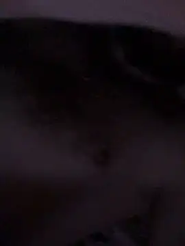 Snapshot of Di717 chatting on March 2026 09:30:02 PM Di717 online show from March 2026 09:30:02 PM