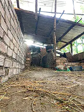 Ginny 2x online show from February 2026 09:41:02 AM