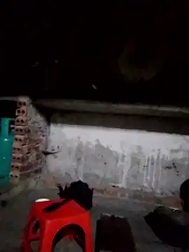 cdyyds-69 online show from February 2026 10:41:01 PM