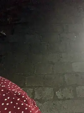 Snapshot of Naalyy chatting on January 2026 01:55:02 AM Naalyy online show from January 2026 01:55:02 AM