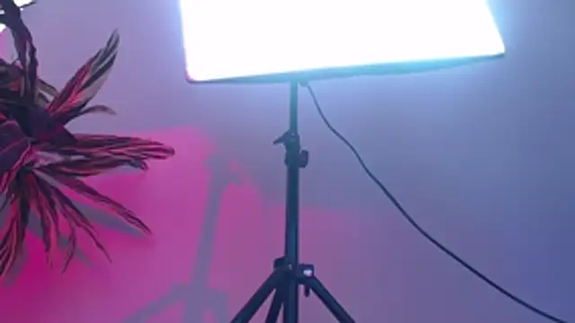 KimiNaru online show from March 2026 04:24:01 PM