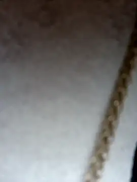 Snapshot of Dante_Knox chatting on February 2026 12:30:02 PM Dante Knox online show from February 2026 12:30:02 PM