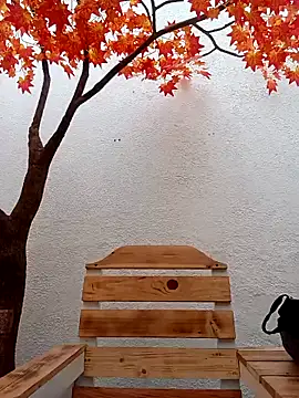 Snapshot of Dante_Knox chatting on February 2026 11:52:01 AM Dante Knox online show from February 2026 11:52:01 AM