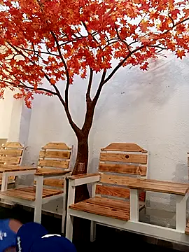 Snapshot of Dante_Knox chatting on February 2026 11:41:01 AM Dante Knox online show from February 2026 11:41:01 AM