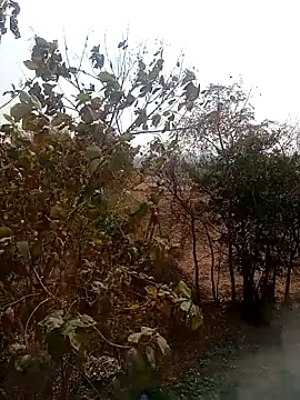 DesiPlayboy09 online show from February 2026 08:24:02 AM