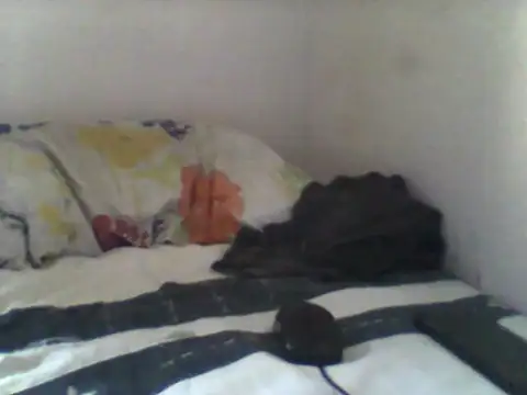 Snapshot of handsomeguy02 chatting on April 2026 02:45:01 PM handsomeguy02 online show from April 2026 02:45:01 PM