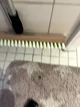 Snapshot of Hamsterdich chatting on January 2026 04:00:01 PM Hamsterdich online show from January 2026 04:00:01 PM