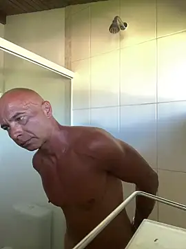 dogfrota online show from February 2026 07:12:01 PM