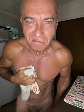 dogfrota online show from February 2026 02:37:02 PM