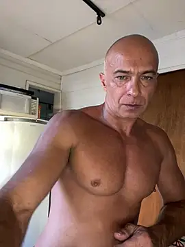 dogfrota online show from February 2026 08:30:01 PM