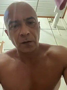 dogfrota online show from March 2026 07:43:02 PM