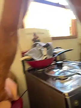 dogfrota online show from April 2026 01:12:02 PM