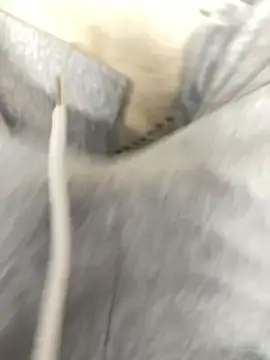 Snapshot of Bebun chatting on January 2026 03:00:02 AM Bebun online show from January 2026 03:00:02 AM