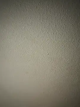 zumma00 online show from January 2026 11:37:02 AM