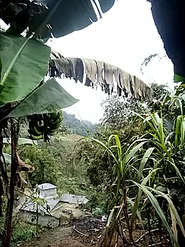 Snapshot of kaia-cam chatting on February 2026 06:37:01 AM kaia-cam online show from February 2026 06:37:01 AM