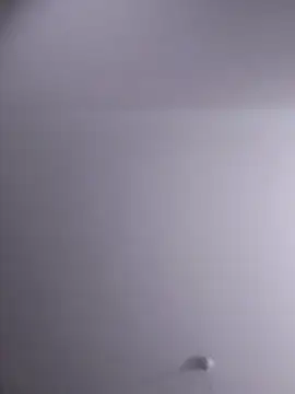 NickoHetero online show from February 2026 10:03:02 PM