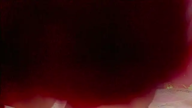 sweet  luna   online show from February 2026 11:00:01 AM