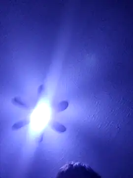 Daniel Hernandez  online show from February 2026 06:34:01 AM