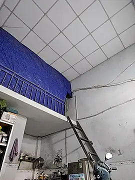 Snapshot of Famrita chatting on January 2026 01:31:02 AM Famrita online show from January 2026 01:31:02 AM