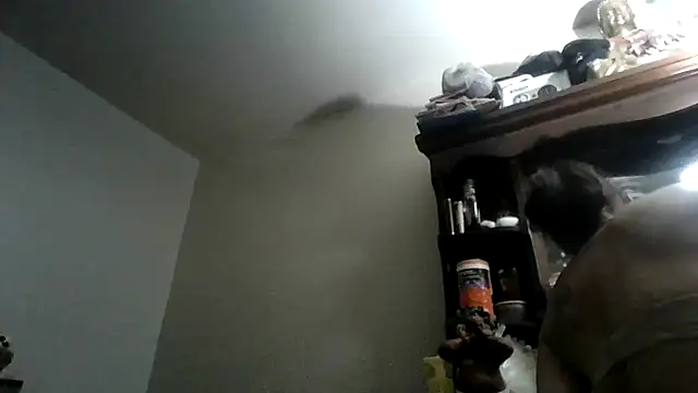 LadySn0w26 online show from August 2026 04:03:01 AM