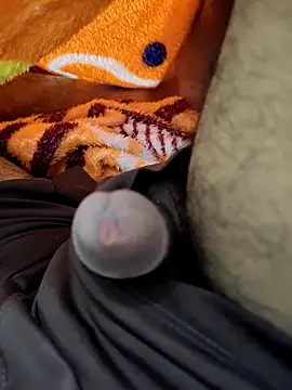 saatyyaam online show from February 2026 03:15:02 PM