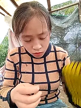 Snapshot of Hari-saka chatting on February 2026 03:04:01 AM Hari-saka online show from February 2026 03:04:01 AM