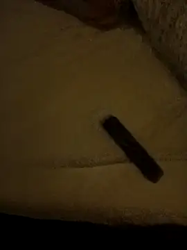 Snapshot of IndorsedTimid chatting on February 2026 05:19:02 AM IndorsedTimid online show from February 2026 05:19:02 AM