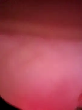 Snapshot of IndorsedTimid chatting on April 2026 11:46:02 PM IndorsedTimid online show from April 2026 11:46:02 PM