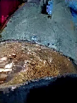 xx couple online show from January 2026 04:11:01 PM