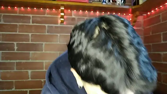 PaulDamico online show from February 2026 12:15:01 PM