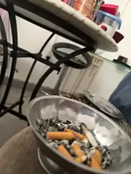 DieMitransarinos online show from March 2026 05:57:02 PM