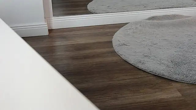 Snapshot of LesysFord chatting on February 2026 08:27:01 PM LesysFord online show from February 2026 08:27:01 PM