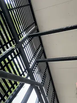 tyd247 online show from March 2026 04:17:02 AM