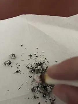 Snapshot of dickdondra chatting on February 2026 11:42:02 AM dickdondra online show from February 2026 11:42:02 AM