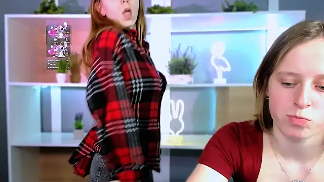 stella flower online show from February 2026 02:38:01 PM