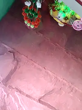bhavna pandit online show from May 2026 02:06:02 AM